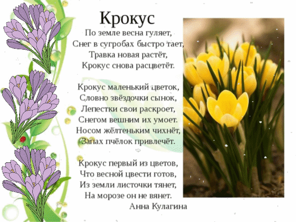 Анимированная открытка Крокус По земле весна гуляет, Снег в сугробах быстро тает, Травка новая растёт, Крокус снова расцве