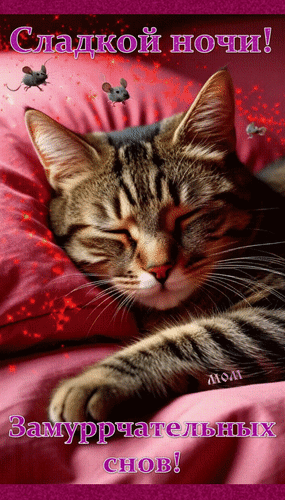 Анимированная открытка Сладкой ночи! Замуррчательных снов!