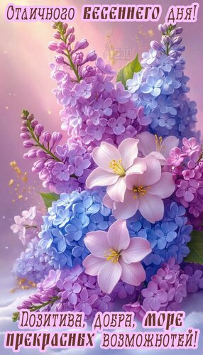 Открытка Добрый день