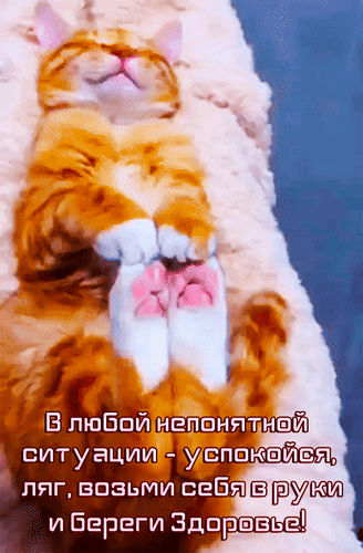 Анимированная открытка В любой непонятной ситуации - успокойся, ляг, возьми себя в руки и береги здоровье!