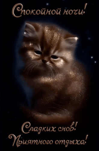 Анимированная открытка Спокойной ночи! Сладких снов! Приятного отдыха!
