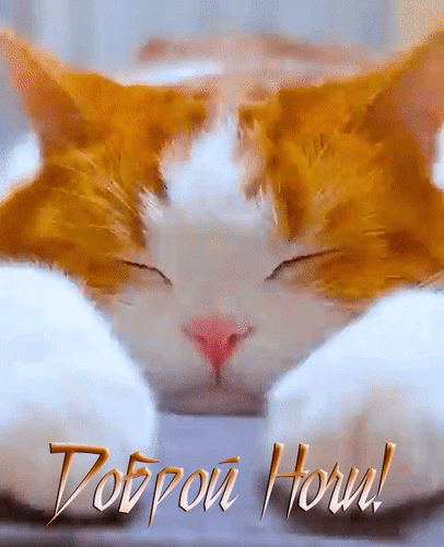 Анимированная открытка Доброй ночи!