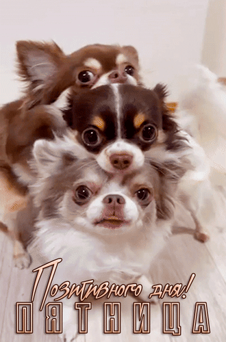 Анимированная открытка Пятница. Позитивного дня!