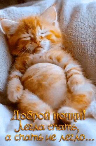 Анимированная открытка Доброй ночки! Легла спать, а спать не легло...