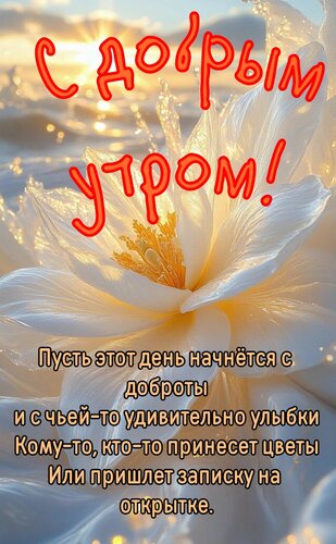 Открытка Доброе утро. Пусть этот день начнётся с доброты