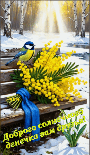 Анимированная открытка Доброго солнечного денечка вам друзья!