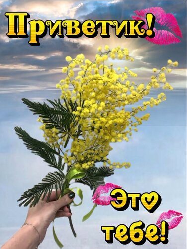 Открытка Приветик! Это тебе!