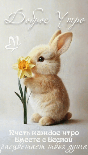 Анимированная открытка Доброе утро! Пусть каждое утро вместе с весной расцветает твоя душа