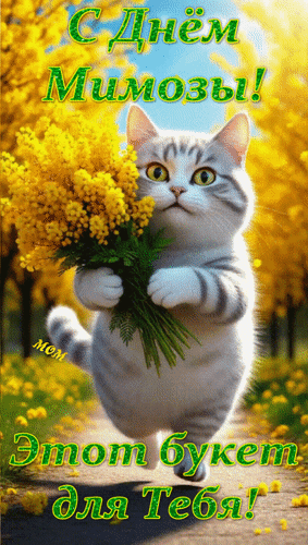 Анимированная открытка С Днём Мимозы! Этот букет для Тебя!