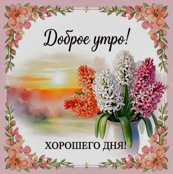 Открытка Доброе утро! Хорошего дня!