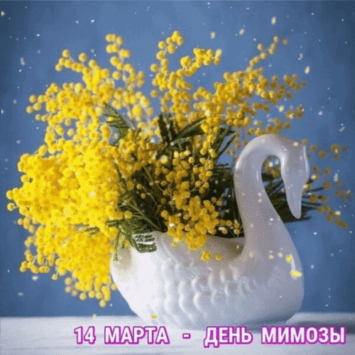 Анимированная открытка 14 марта - День мимозы