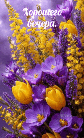 Анимированная открытка Хорошего вечера!