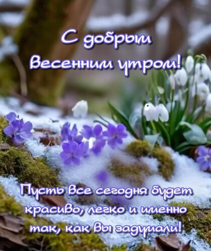Открытка Пусть все сегодня будет красиво, легко и именно так, как вы задумали!