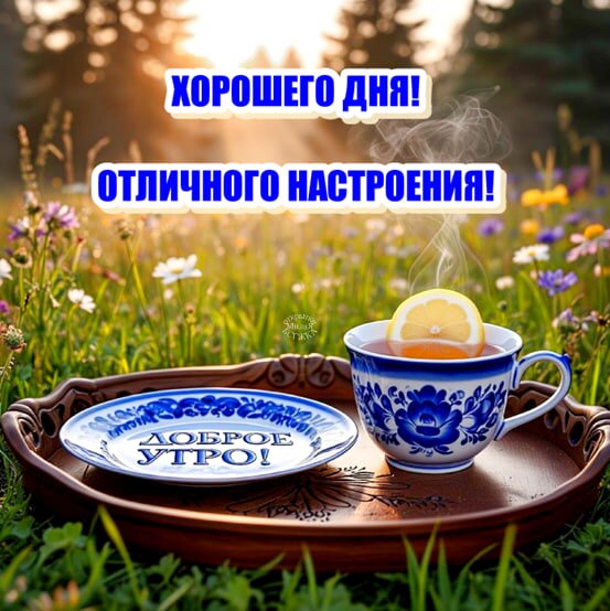 Открытка Доброе утро! Хорошего дня! Отличного настроения!