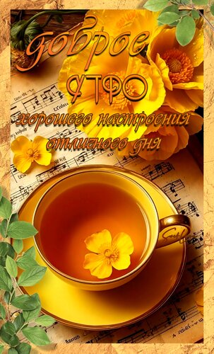 Открытка Доброе утро. Хорошего настроения. Отличного дня