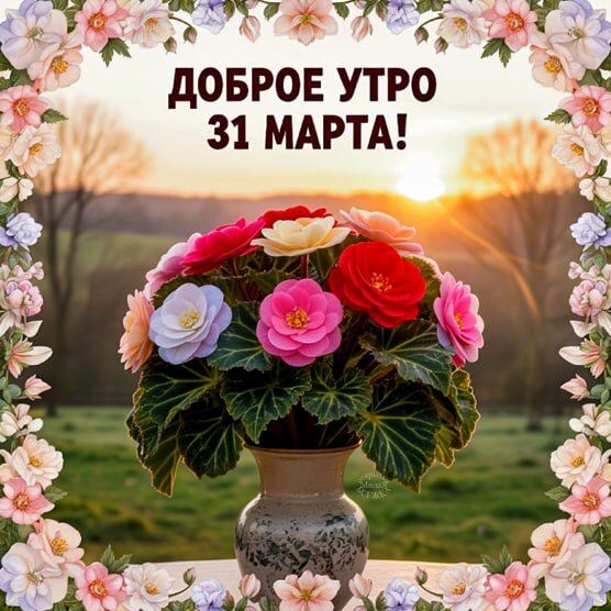 Открытка Доброе утро 31 марта!