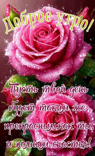 Открытка Доброе утро. Пусть твой день будет таким же прекрасным, как ты, и полным счастья!