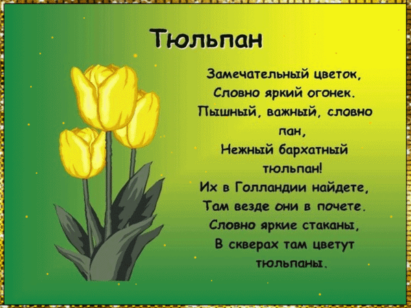 Анимированная открытка Тюльпан. Замечательный цветок, словно яркий огонек. Пышный, важный, словно пан, Нежный бархатный