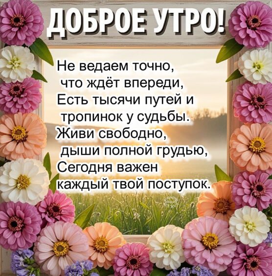 Открытка Доброе утро!