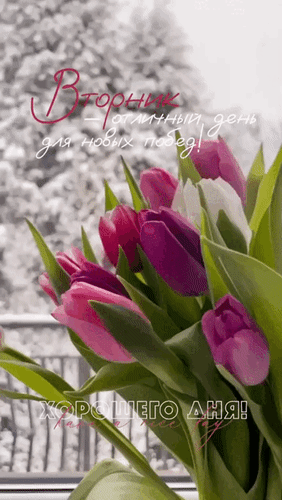 Анимированная открытка Вторник - отличный день для новых побед! Хорошего дня!