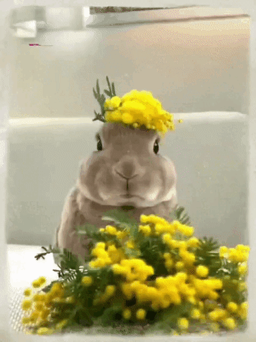 Анимированная открытка Весенний приветик! Дарю вам букетик! И хорошее настроение!