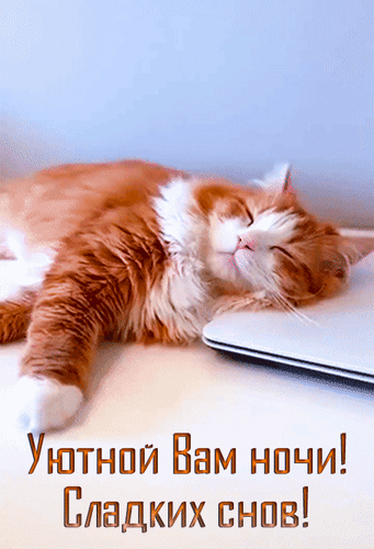 Анимированная открытка Уютной вам ночи! Сладких снов!