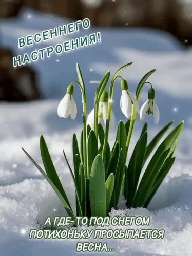 Анимированная открытка Весеннего настроения! А где-то под снегом потихоньку посыпается весна...