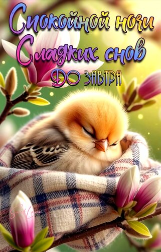Открытка Спокойной ночи. Сладких снов. До завтра.