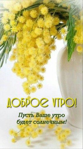 Открытка Доброе утро!