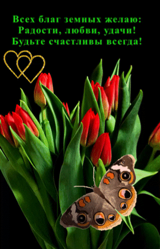 Анимированная открытка Всех благ земных желаю: радости, любви, удачи! Будьте счастливы всегда!