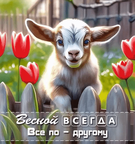 Анимированная открытка Весной всегда все по-другому