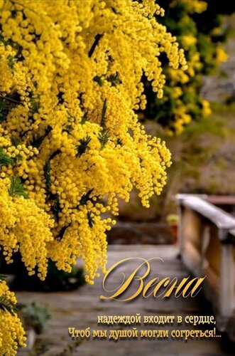 Открытка Весна