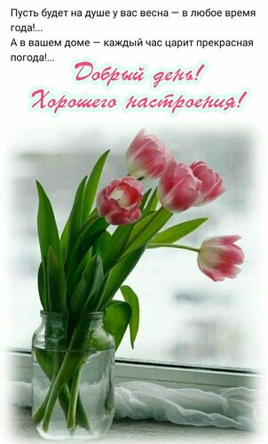 Открытка Добрый день!