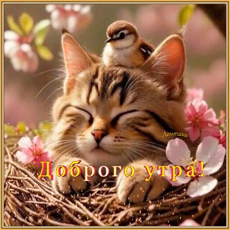 Анимированная открытка Доброго утра! Доброго дня!