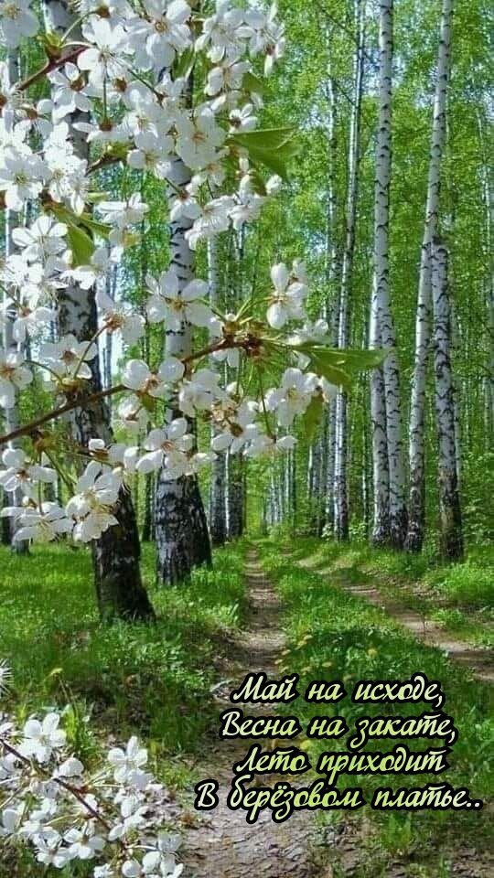 Открытка Май на исходе