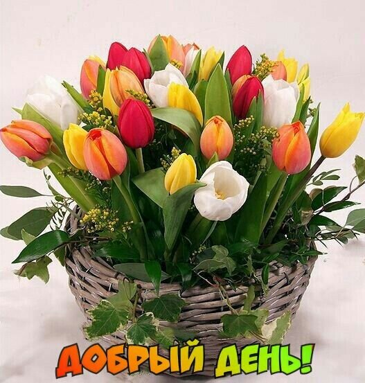 Открытка Добрый день!