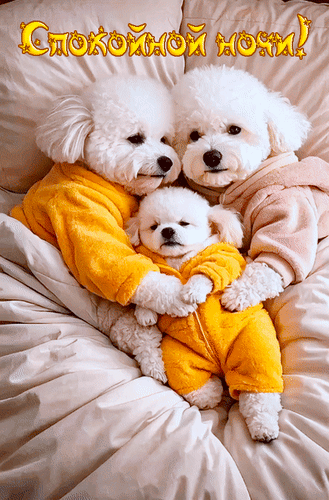 Анимированная открытка Спокойной ночи!