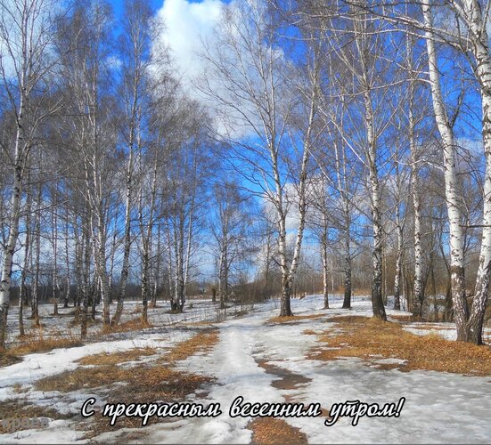 Открытка С прекрасным весенним утром!