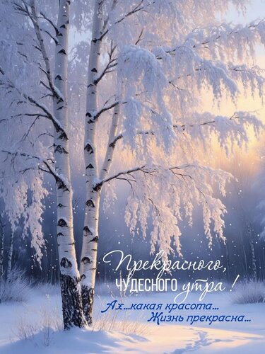 Открытка Прекрасного чудесного утра!