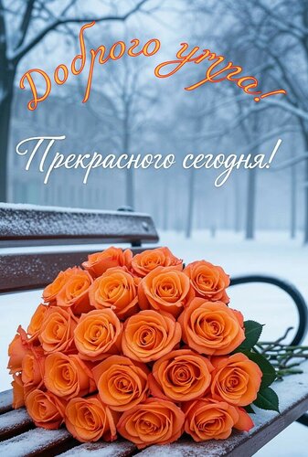 Открытка Доброе утро. Прекрасного сегодня