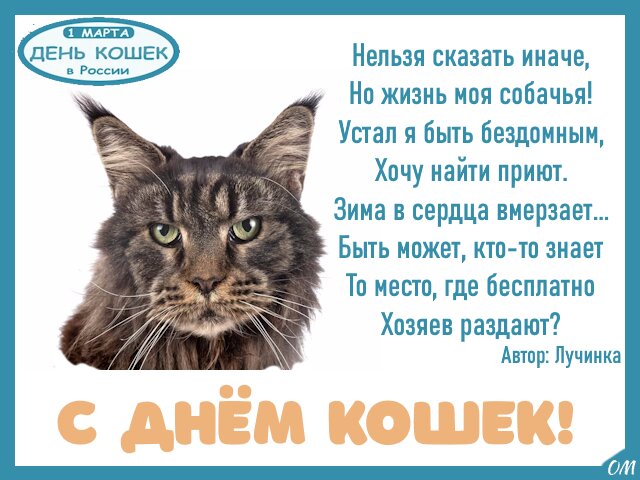 Открытка День кошек 