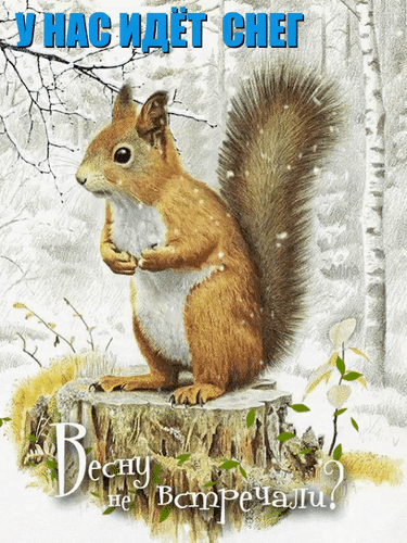 Анимированная открытка Зима-весна. Юмор