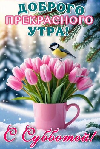 Открытка ДОБРОГО ПРЕКРАСНОГО УТРА! С СУББОТОЙ!