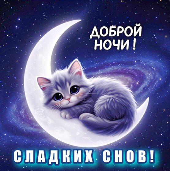 Открытка Доброй ночи! Сладких снов!