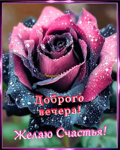 Анимированная открытка Доброго вечера! Желаю Счастья!