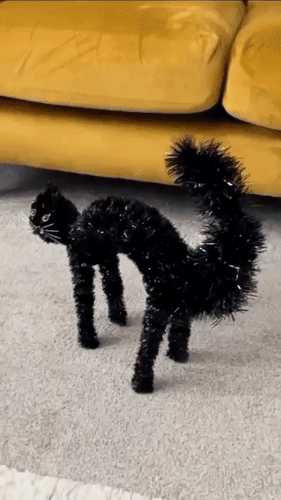 Анимированная открытка Юмор