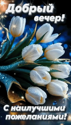 Открытка Добрый вечер! С наилучшими пожеланиями!