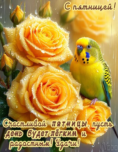 Открытка Пятница