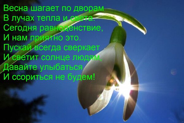 Открытка Весна шагает по дворам В лучах тепла и света. Сегодня равноденствие, И нам приятно это. Пускай всегд