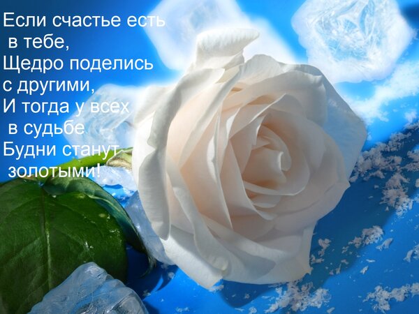 Открытка Если счастье есть в тебе, Щедро поделись с другими, И тогда у всех в судьбе Будни станут золотыми!